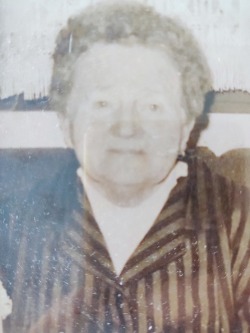 Kata Gavić Kajić