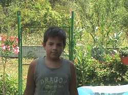 Mateo Petriško