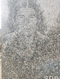 Sestra